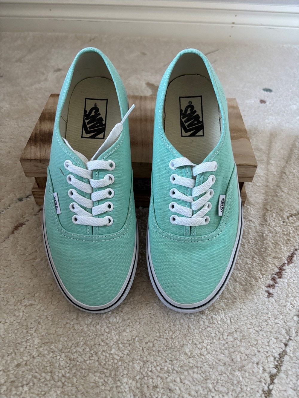 Vans Low Top Sneakers in Mint Teal with White Trim